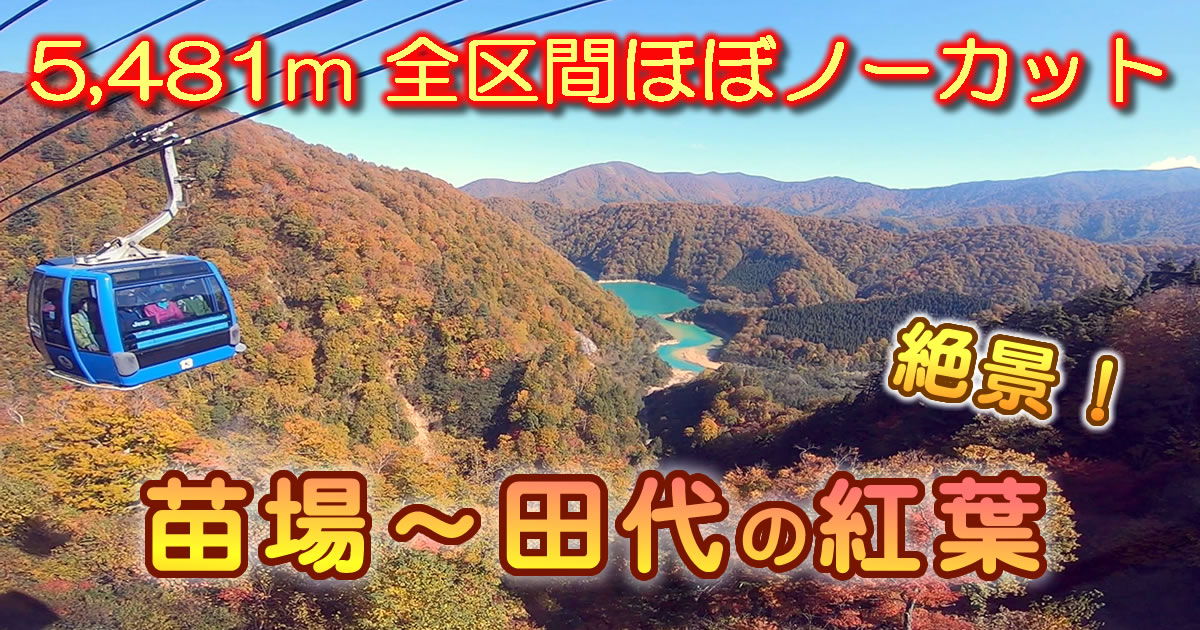 日本最長5,481mの苗場ドラゴンドラ 絶景の紅葉動画！【全区間ほぼノーカット】